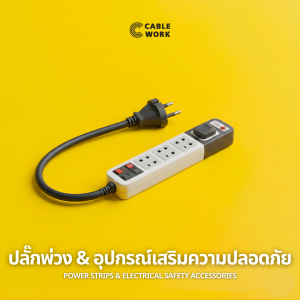 ปลั๊กพ่วง & อุปกรณ์เสริมความปลอดภัย