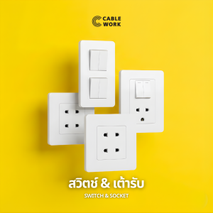 สวิตช์ & เต้ารับ (Switch & Socket)