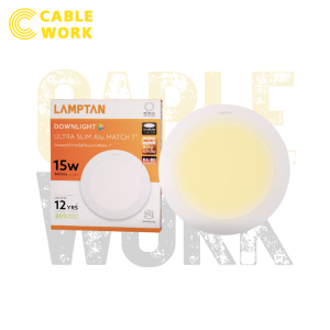 ไฟดาวน?ไลท์