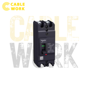 Schneider เซอร์กิตเบรกเกอร์ MCCB
