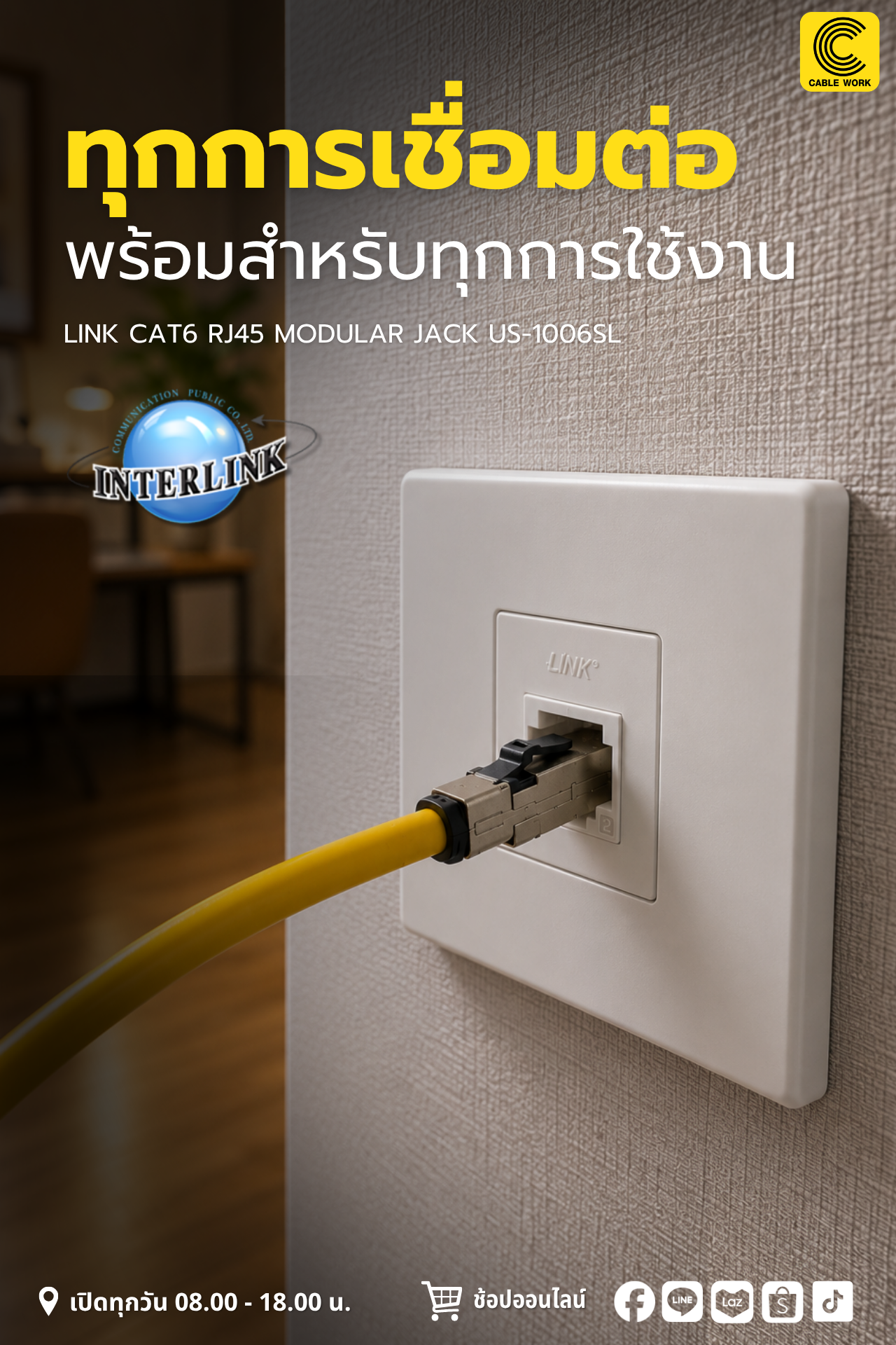 สายแลน Link CAT6 RJ45 Modular Jack US-1006SL
