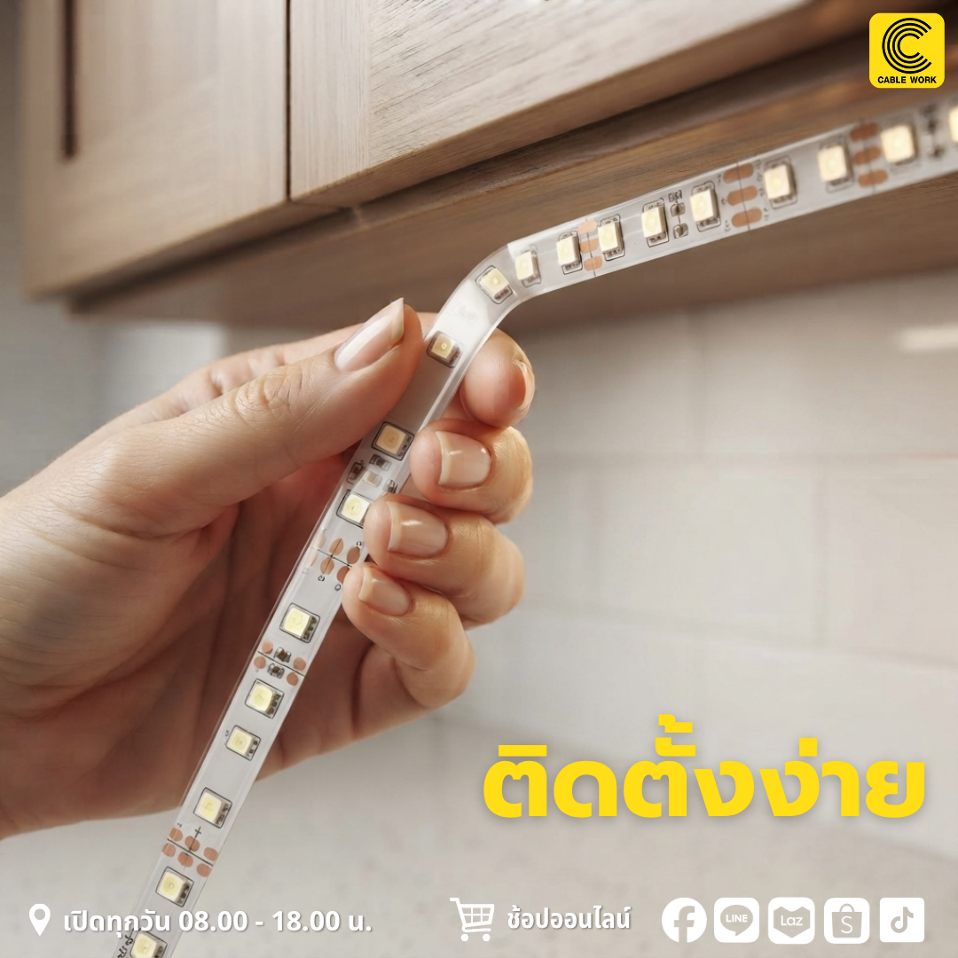 NEOX ไฟริบบิ้น 2835 24V 5 เมตร (DL,CW)