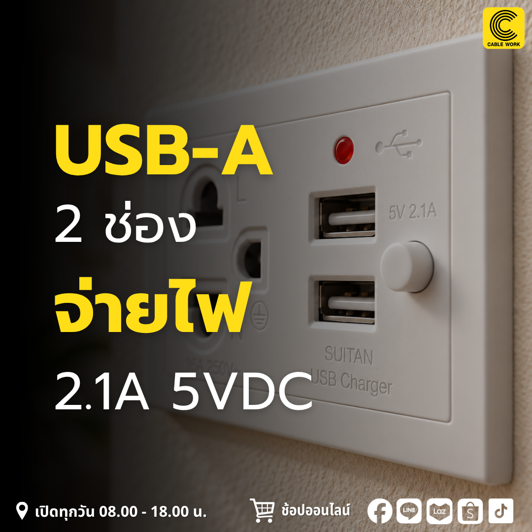 Nano เต้ารับเดี่ยวมีกราวด์ USB 2 ช่อง รุ่น NN-P603U