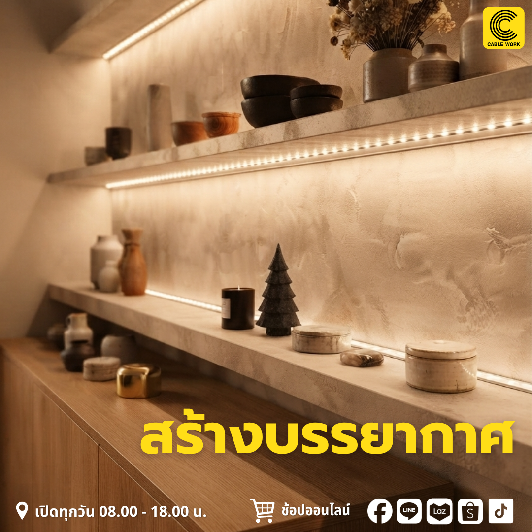 NEOX ไฟริบบิ้น 2835 24V 5 เมตร (DL,CW)