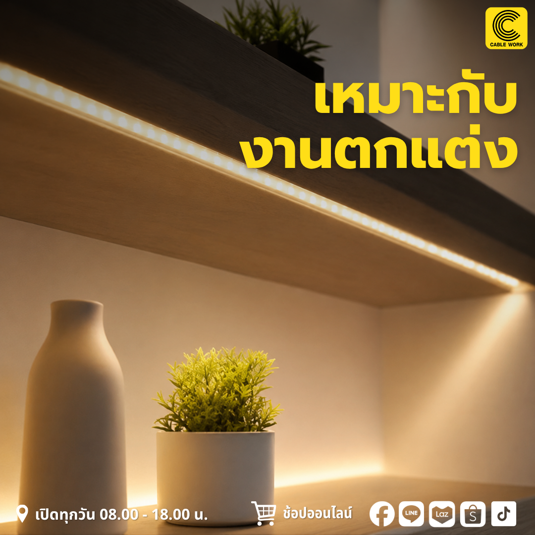 NEOX ไฟริบบิ้น 2835 12V 5 เมตร (DL,CW,WW)