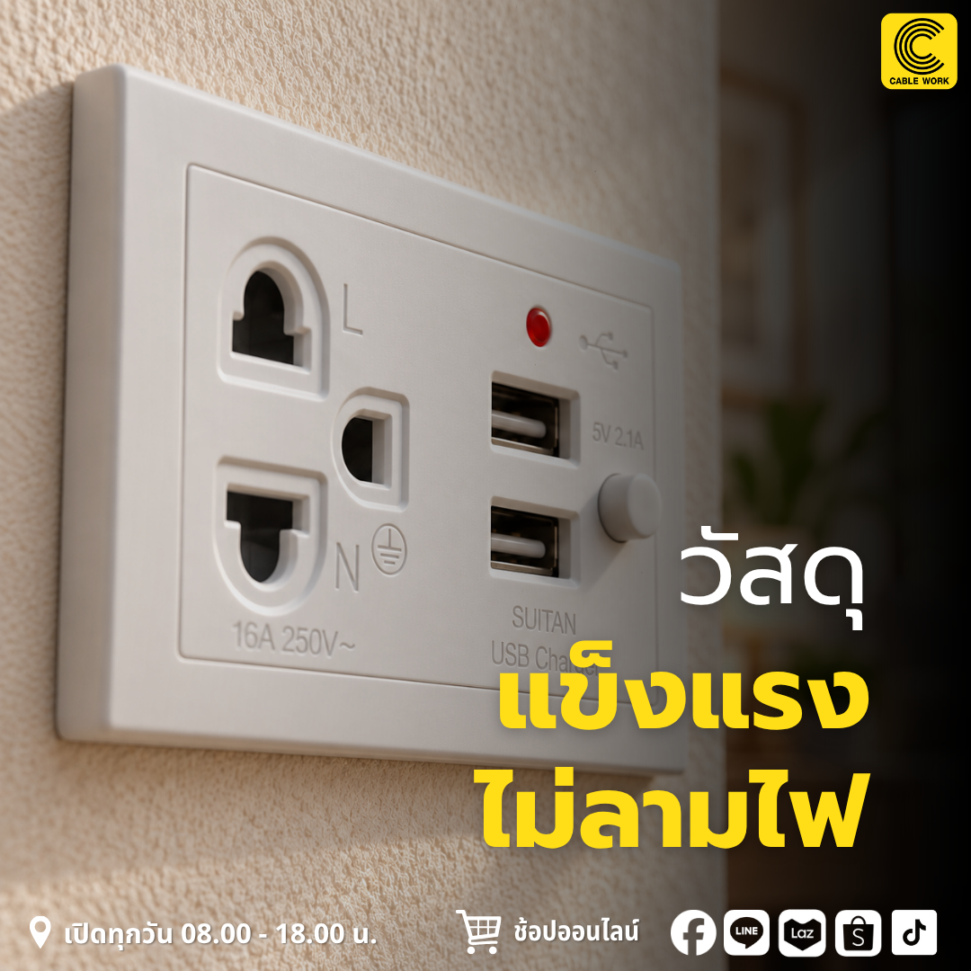 Nano เต้ารับเดี่ยวมีกราวด์ USB 2 ช่อง รุ่น NN-P603U