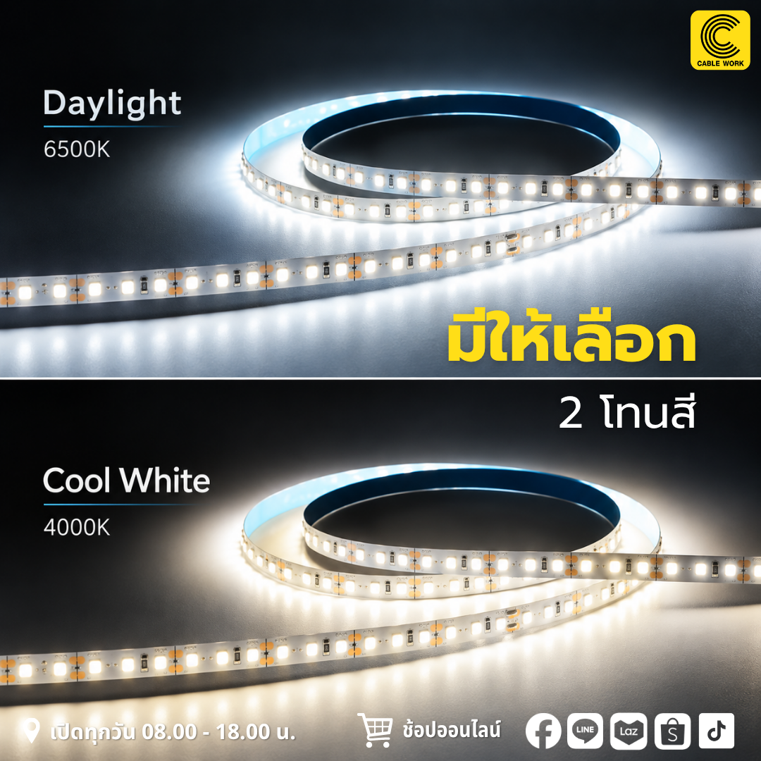 NEOX ไฟริบบิ้น LED 2835 24V ยาว 5 เมตร ไฟเส้น LED สำหรับงานตกแต่งภายใน